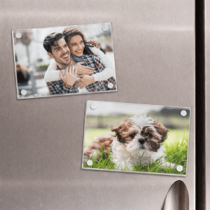 2 IMANES ACRILICOS rectangulares de 9x13 cm en heladera. Un iman de una pareja en una ciudad, el otro iman de un Perrito chiquitito acostado en un parque