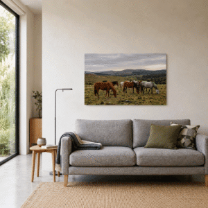 Fotografia de 60x40 en Papel Fotográfico de impresión en Plotter pegada en Sintra (PVC de 3mm) de unos caballos. Dispuesta en una pared sobre un sillon de dos plazas en una casa moderna.