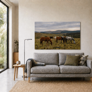 Fotografia de 75x50 en Papel Fotográfico de impresión en Plotter pegada en Sintra (PVC de 3mm) de unos caballos. Dispuesta en una pared sobre un sillon de dos plazas en una casa moderna.